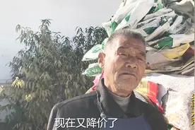 废纸箱降价了？多少钱一斤？听收废品大爷告诉你最新价格，别吃惊视频封面