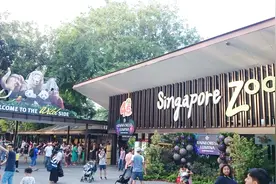 值得一去再去的世界著名动物园——新加坡国家动物园视频封面