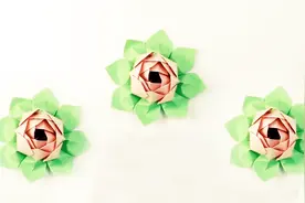 创意折纸DIY，教你制作漂亮的莲花，荷花的折纸方法视频封面