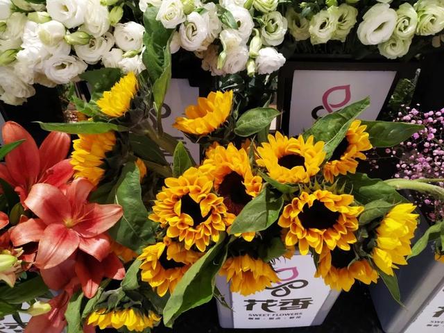 1399元打造出的轻旗舰，小米8青春版上手评测