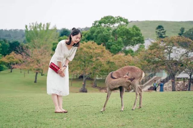 橄榄油保湿补水身体乳 橄榄油保湿补水身体乳