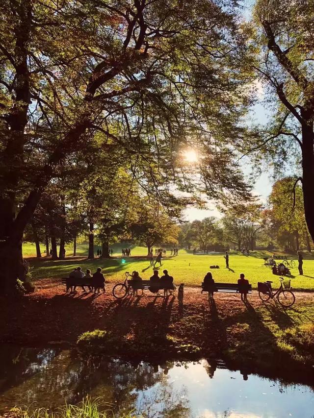 橄榄油保湿补水身体乳 橄榄油保湿补水身体乳