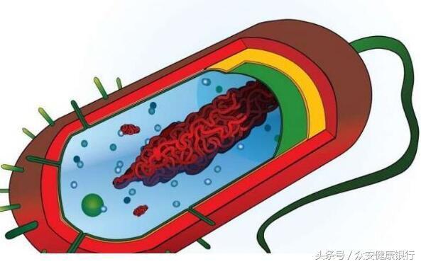 中科众安推荐：10月Nature杂志不得不看的重磅级亮点研究