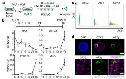 中科众安推荐：10月Nature杂志不得不看的重磅级亮点研究