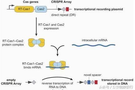 中科众安推荐：10月Nature杂志不得不看的重磅级亮点研究
