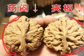 记住这三点，药闷文玩核桃、夹板核桃一眼就分辨出来视频封面