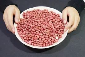 花生米保存不当容易生虫，学会这个方法，花生米放多久也不生虫