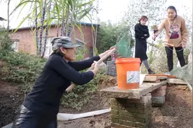 明明家池塘水干了，妈妈拿上渔网来捉鱼，竟然还有一条红色鲫鱼