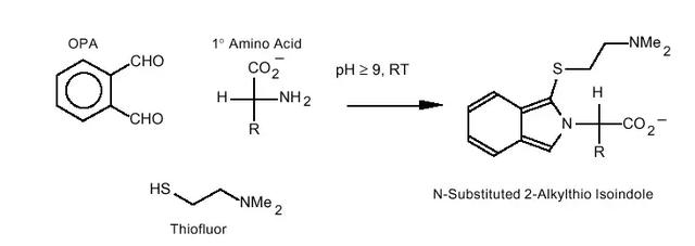 氨基酸分析仪 柱前衍生化