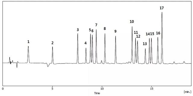 氨基酸分析仪 柱前衍生化