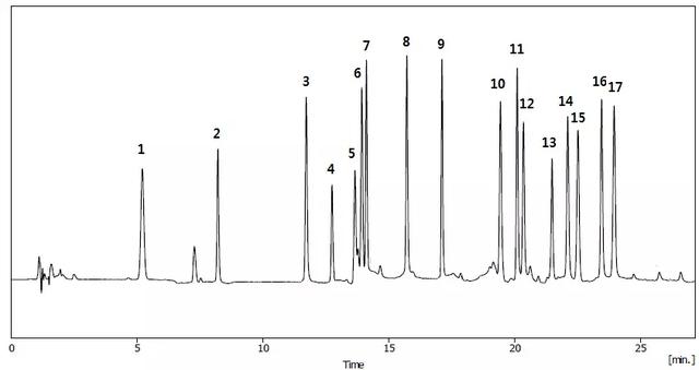 氨基酸分析仪 柱前衍生化