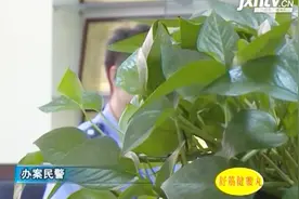 山东东营：警方零口供破案 毒贩获刑11年6个月 处罚金3万元视频封面