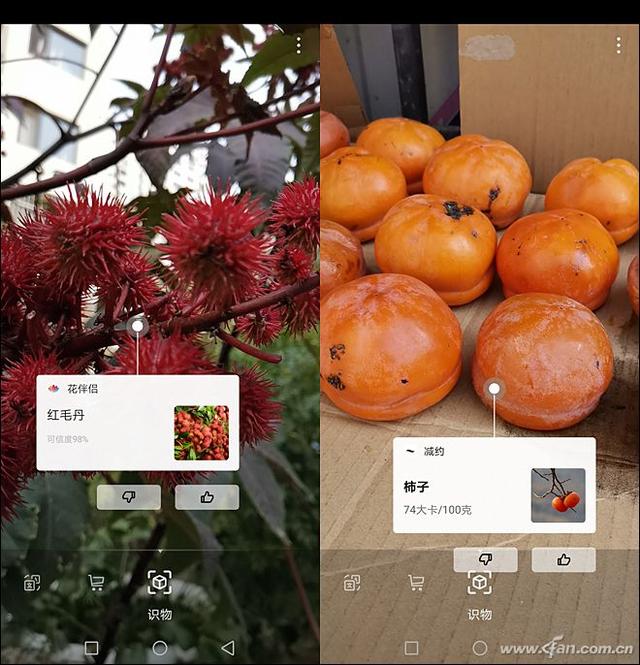 徕卡三摄+麒麟980的怒吼！HUAWEI Mate 20评测