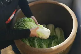 白菜不洗不放盐放缸里，看完这集学会东北积酸菜，胖嫂的家常做法视频封面