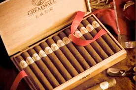 四川什邡打造中国雪茄第一城，有着中国唯一的博物馆！太厉害了视频封面