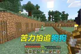 我的世界生存95：狗为什么不咬苦力怕，还被苦力怕追着跑