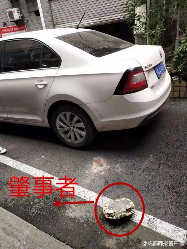 车顶砸出坑怎么办