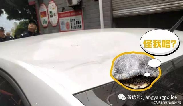 车顶砸出坑怎么办