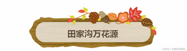 29.9抢遵义田家沟万花源门票+温泉 不一样的钠泉温泉 特制红茶汤