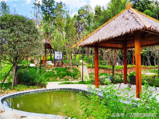 29.9抢遵义田家沟万花源门票+温泉 不一样的钠泉温泉 特制红茶汤