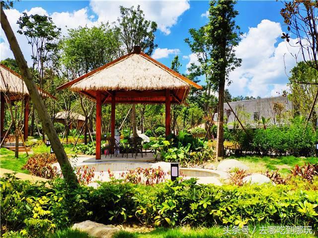 29.9抢遵义田家沟万花源门票+温泉 不一样的钠泉温泉 特制红茶汤