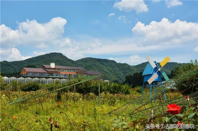 29.9抢遵义田家沟万花源门票+温泉 不一样的钠泉温泉 特制红茶汤