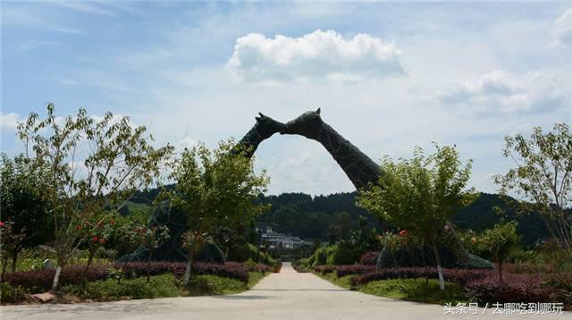 29.9抢遵义田家沟万花源门票+温泉 不一样的钠泉温泉 特制红茶汤
