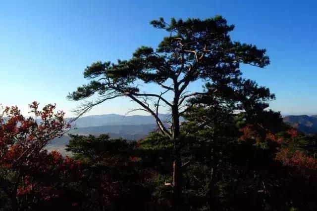 美景｜距长春165公里处，这座低调的小城美到窒息！秋天去刚刚好！