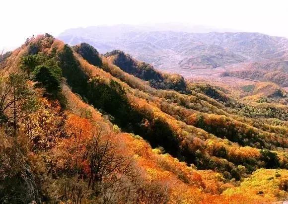 美景｜距长春165公里处，这座低调的小城美到窒息！秋天去刚刚好！