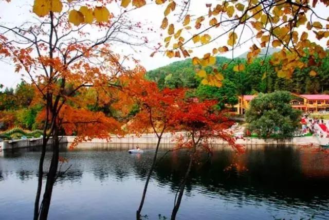 美景|距长春165公里处,这座低调的小城美到窒息!秋天去刚刚好!