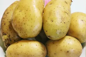 土豆这样做，吃一次一定会上瘾，香甜酥脆，比吃肉都香，太解馋啦