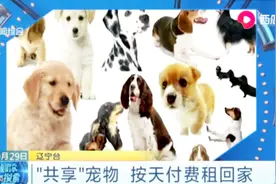 “共享”宠物已上线！按天付费就可租回家视频封面