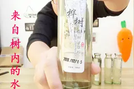 试喝天然的森林饮料“桦树汁”没想到树的汁液做成饮料还挺好喝的视频封面