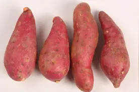 发烧需要补充水分和蛋白质，这十大蔬菜就是非常食用的退烧药