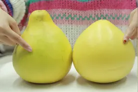 买尖柚还是买圆柚，很多人都搞错了，选这种柚子才皮薄肉多又好吃