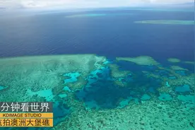 直升飞机航拍世界最大最长的珊瑚礁群大堡礁视频封面