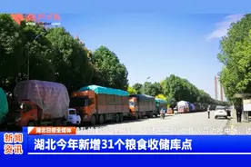 让卖粮农民少等候，湖北今年新增31个粮食收储库点视频封面