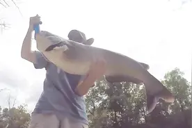 还是钓大鱼够爽，拉的有劲，拽的够狂，出水就是10多斤……