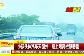 血的教训！小孩头伸出汽车天窗外，撞上限高栏酿悲剧！视频封面
