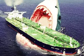 地球上鲨鱼最多的地方：浅滩就有700多条，竟还有人敢下水！