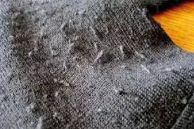 衣服起球有头发，不用再买剃毛器了！教你1分钟清理干净视频封面