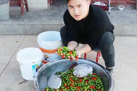 贵州人喜欢把辣椒这样腌制，好吃又下饭！