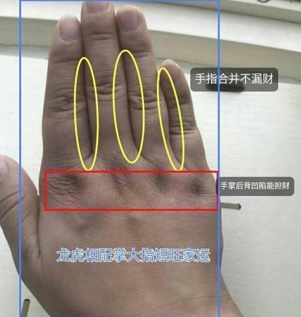 手相算命故事:左掌看先天命运,右掌看后天努力