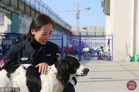 90后警花训犬员的日常 每天一身狗毛 曾多次被咬图片