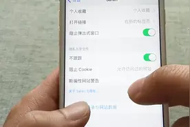 使用ios手机浏览网页，害怕遇到病毒，应该这么做视频封面