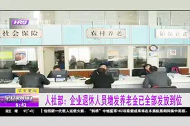 人社部：各地区企业退休人员增发养老金已全部发放到位视频封面