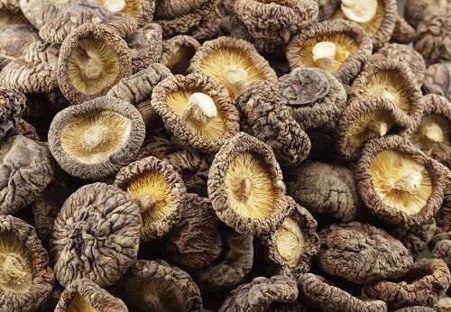 香菇被称为“百菇之王”，干香菇和鲜香菇应该吃哪个？别吃错了