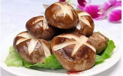 香菇被称为“百菇之王”，干香菇和鲜香菇应该吃哪个？别吃错了