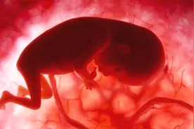 当胎宝体重达到多少时，孕妈最“难熬”？原来并不是孕晚期视频封面