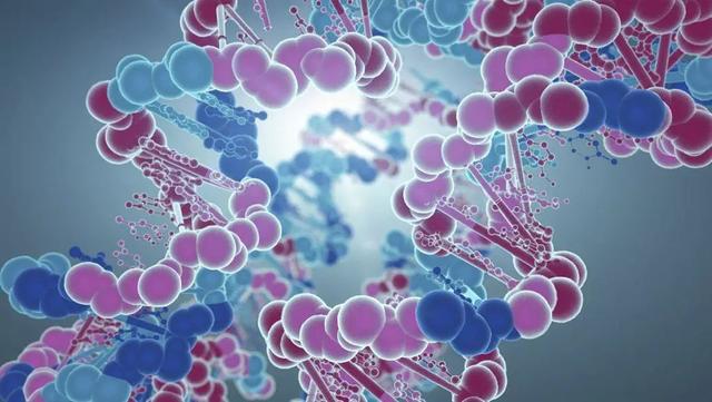 DNA里隐藏了生命所有的秘密，这是怎么实现的？